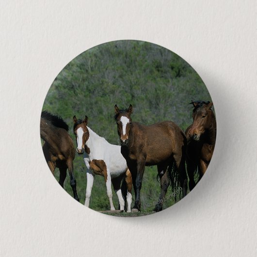 Groep wilde Mustang Paarden Ronde Button 5,7 Cm (Voorkant)