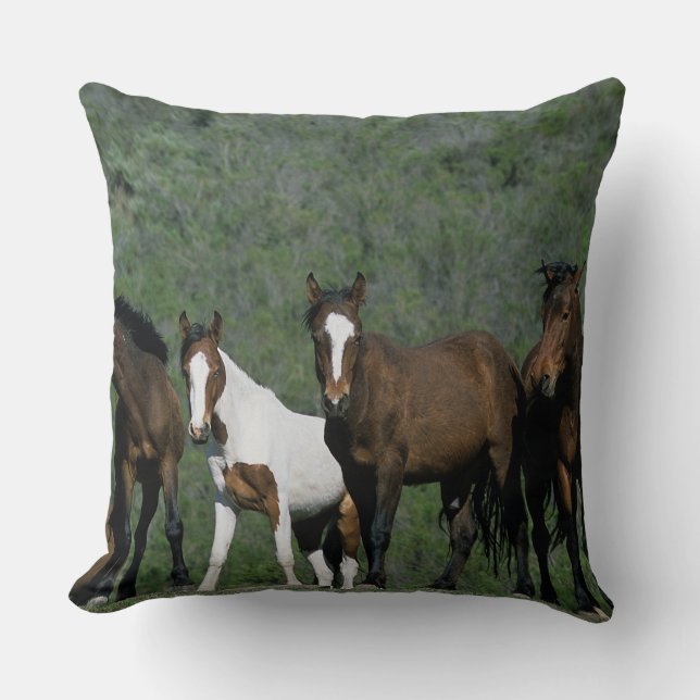Groep wilde mustangpaarden kussen (Voorkant)