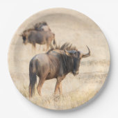 Groep wildebeest papieren bordje (Voorkant)