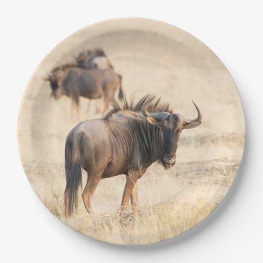 Groep wildebeest papieren bordje (Voorkant)