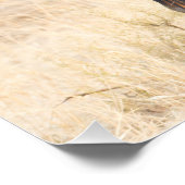 Groep wildebeest poster (Hoek)