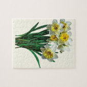 Groep Witte Daffodils Legpuzzel (Horizontaal)