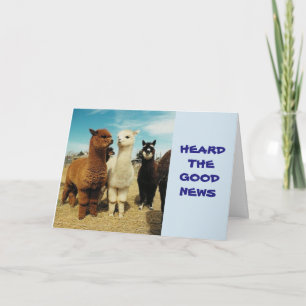 GROEP ZEGT **PENSIONERING-JE BENT VRIJ GENIETEN** KAART