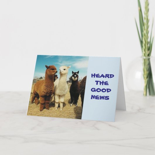 GROEP ZEGT **PENSIONERING-JE BENT VRIJ GENIETEN** KAART (Voorkant)