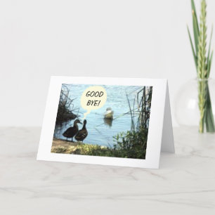 GROEP ZEGT WAT ZO GOED IS OVER 'GOEDE BYE'? KAART