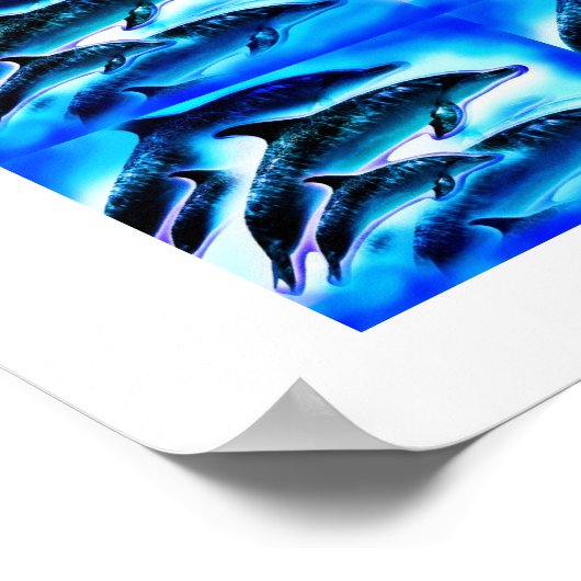 Groepen dolfijnen poster (Hoek)