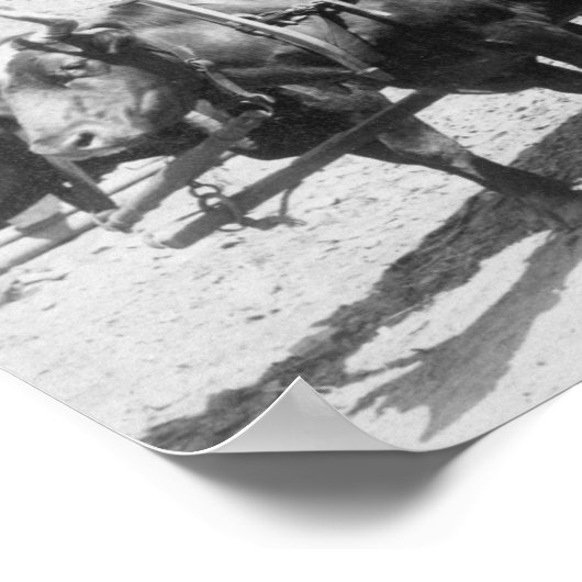 Groepering goudprospectors foto poster (Hoek)