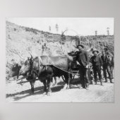Groepering goudprospectors foto poster (Voorkant)