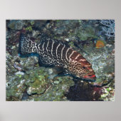 Groepering op reinigingsstation poster (Voorkant)