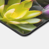 Groepering van cactus en succulente planten bureaumat (Hoek)