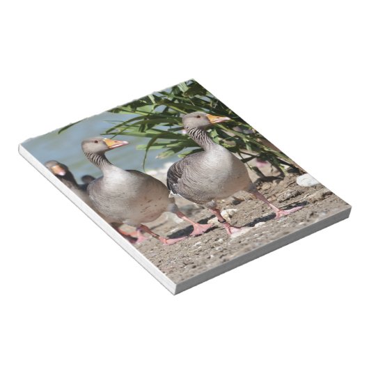 Groepering van de ganzen met de vlag notitieblok (Schuin)