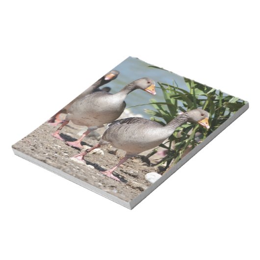 Groepering van de ganzen met de vlag notitieblok (Linkerzijde)