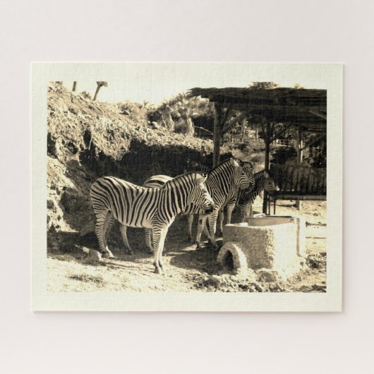 Groepering zebras legpuzzel (Horizontaal)