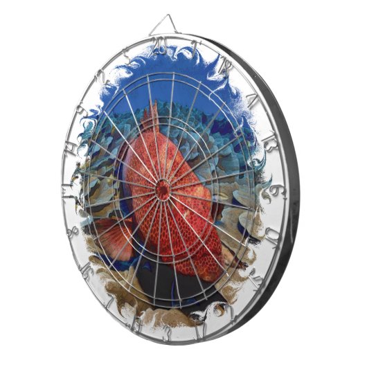 Groepervis op koraalgolfbal dartbord (Voorkant Rechts)