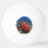 Groepervis op koraalgolfbal pingpongbal (Voorkant)