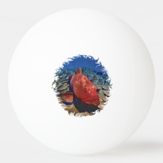 Groepervis op koraalgolfbal pingpongbal (Voorkant)