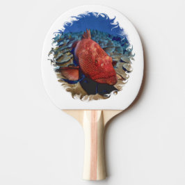 Groepervis op koraalgolfbal tafeltennisbatje