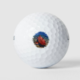 Groepervissen op koraal golfballen