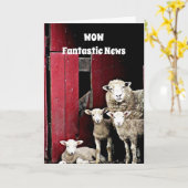 GROEPJE SCHAPEN, JE ROTSEN GEFELICITEERD KAART (Gele Bloem)