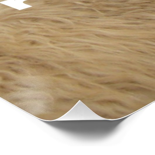 Groepsdenken Perfect Poster (Hoek)