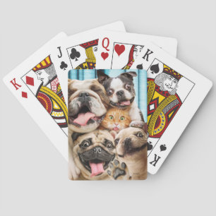 Groepsfoto van honden en een kat pokerkaarten