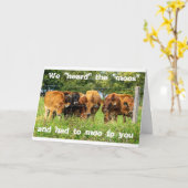 GROEPSKAART MET VEEL HUMOR "ONTVANGEN GRAAD" KAART (Gele Bloem)