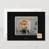 groepsknuffel briefkaart (Voorkant / Achterkant)