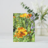 Groepswaarden # 6 briefkaart (Staand voorkant)
