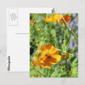Groepswaarden # 6 briefkaart (Voorkant / Achterkant)