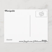 Groepswaarden # 6 briefkaart (Achterkant)
