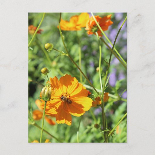 Groepswaarden # 6 briefkaart (Voorkant)