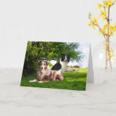 Groet "Howdy & Buckeroo" Kaart (Gele Bloem)