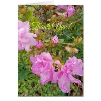 Groet met lavendelbloesems op azalea. Dank je wel