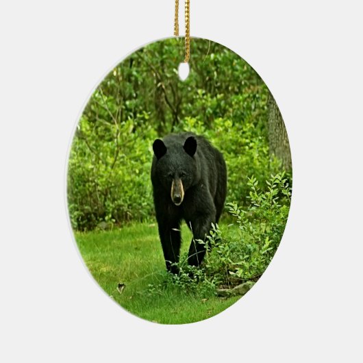 Groet uit het zwarte Beer van Poconos Keramisch Ornament (Rechts)
