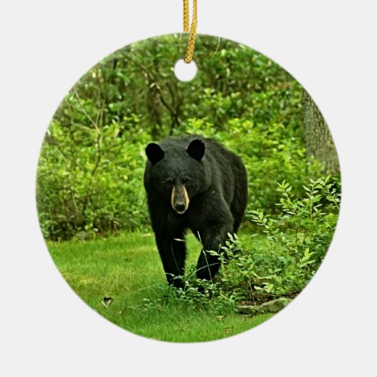 Groet uit het zwarte Beer van Poconos Keramisch Ornament (Voorkant)