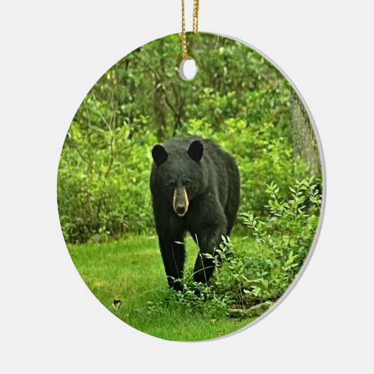 Groet uit het zwarte Beer van Poconos Keramisch Ornament (Links)