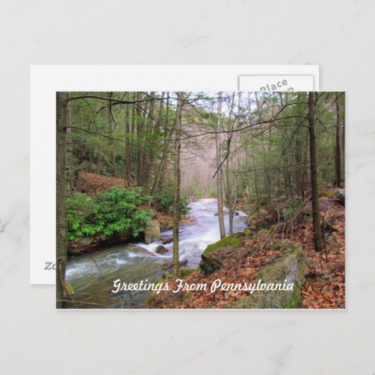 Groet uit Pennsylvania Briefkaart (Voorkant / Achterkant)