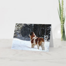 Groet van de sneeuw de fotografische Kerstmis van Feestdagen Kaart
