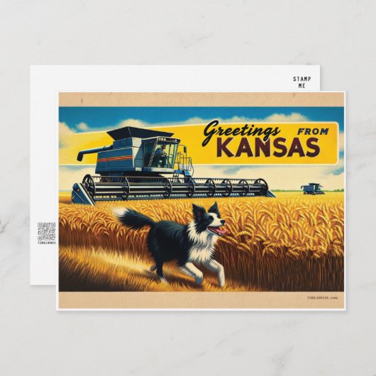 Groet van Kansas Wheat Combineer Border Collie Briefkaart (Voorkant / Achterkant)