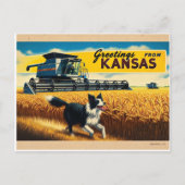 Groet van Kansas Wheat Combineer Border Collie Briefkaart (Voorkant)