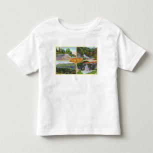 Groet van met Schilderachtig Uitzichten Kinder Shirts