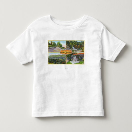 Groet van met Schilderachtig Uitzichten Kinder Shirts (Voorkant)