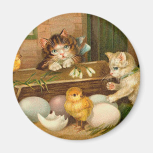 Groet van Pasen van katjes en van Kuikens de Magneet