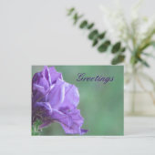 Groeten Briefkaart (Staand voorkant)