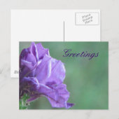 Groeten Briefkaart (Voorkant / Achterkant)