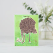 Groeten, Jouw tekst, struisvogels Briefkaarten (Staand voorkant)