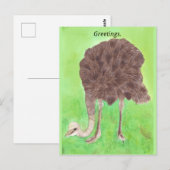 Groeten, Jouw tekst, struisvogels Briefkaarten (Voorkant / Achterkant)