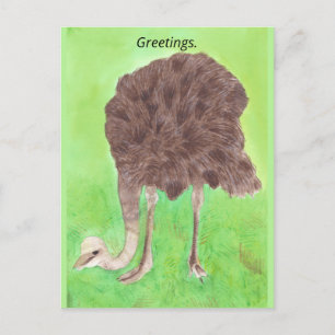 Groeten, Jouw tekst, struisvogels Briefkaarten