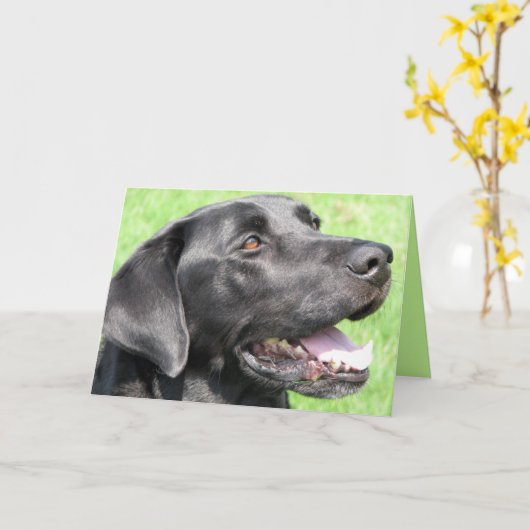 Groeten Kaart (Gele Bloem)