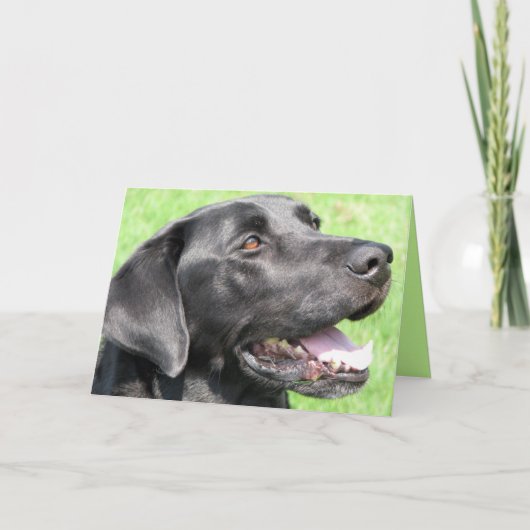 Groeten Kaart (Voorkant)